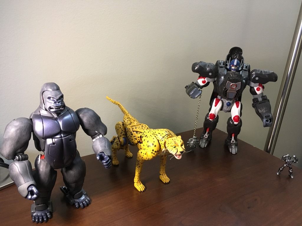 optimus primal and cheetor